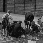 Eine andere Berliner Kindheit um 1900