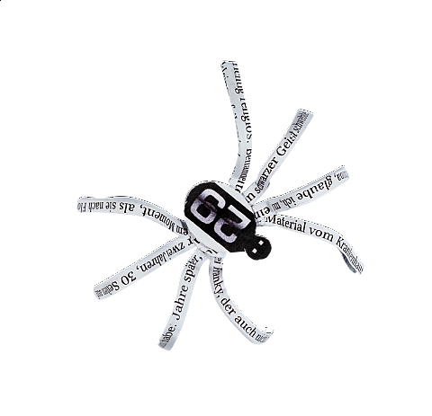 Spinne